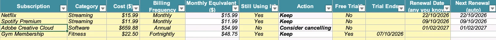 Subscriptions tab with example subscriptions, monthly equivalent cost, whether you still use each one, the action to take, free trial dates and renewal dates